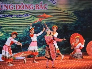 第八届越南东北部各民族文化节正式开幕